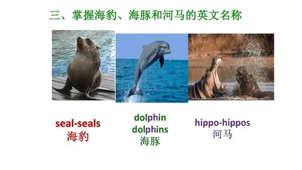 Unit 6  Would you like to take a trip? 单元知识梳理（单词+句