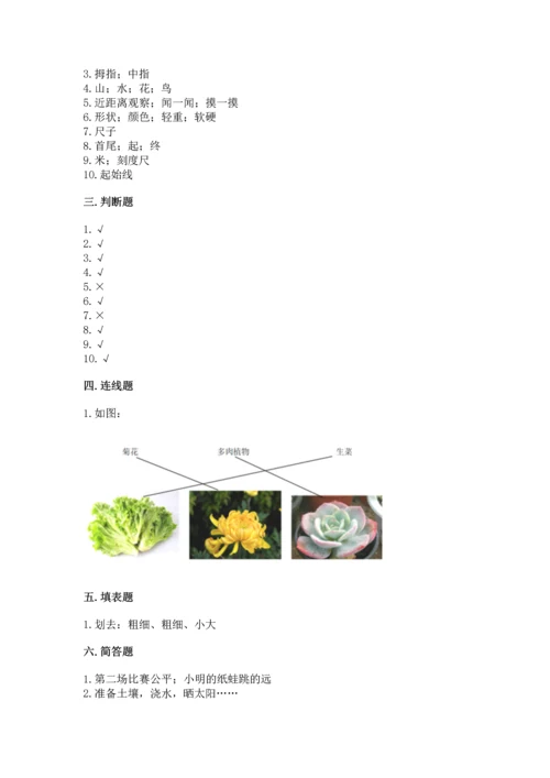 教科版科学一年级上册期末测试卷附完整答案（有一套）.docx