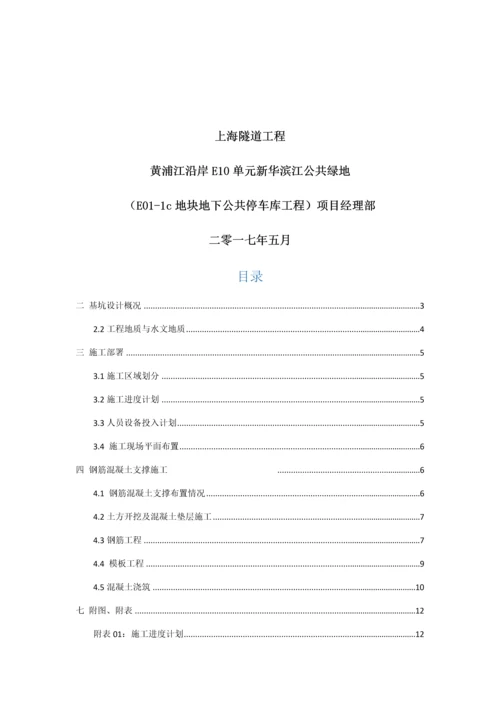 支撑综合项目施工专项方案.docx