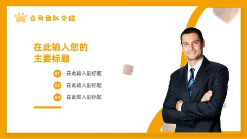 橙色简约宠物行业商业计划书PPT