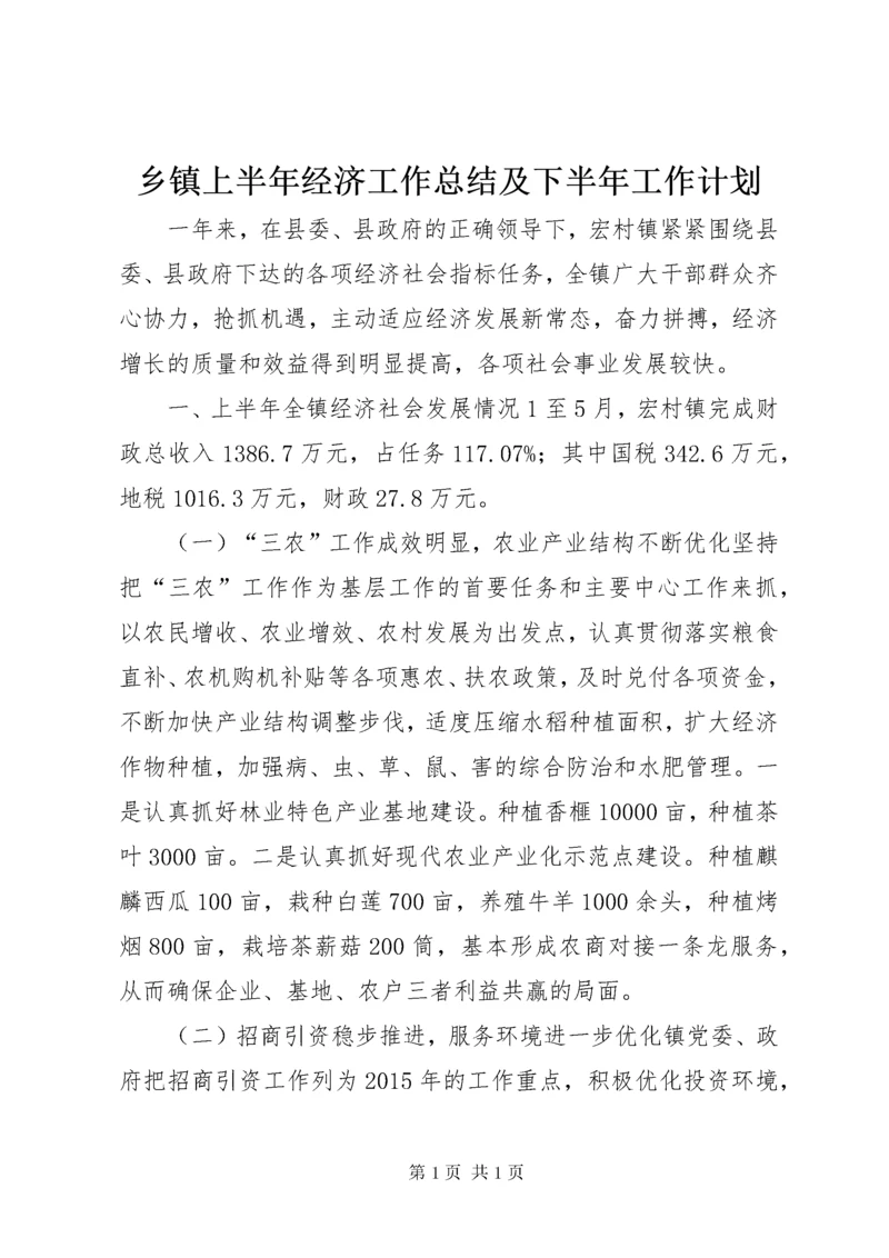 乡镇上半年经济工作总结及下半年工作计划.docx