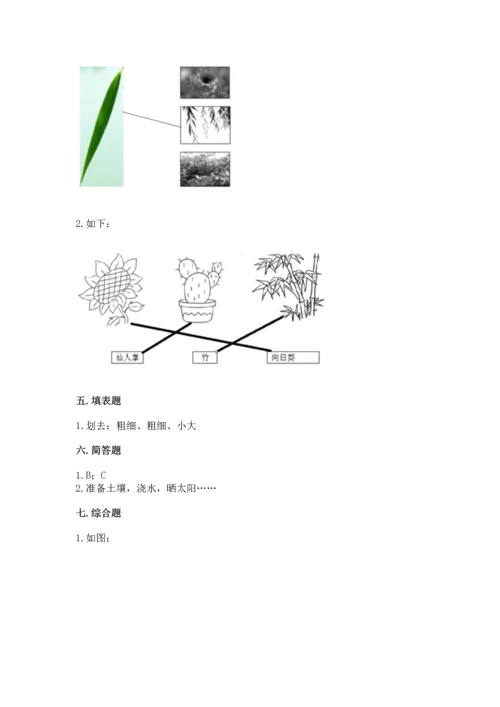 教科版科学一年级上册第一单元《植物》测试卷含答案【预热题】.docx