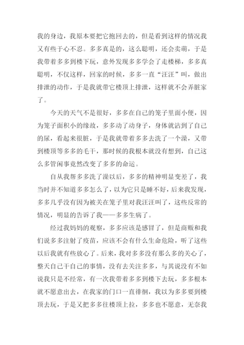 逝犬多多00.docx