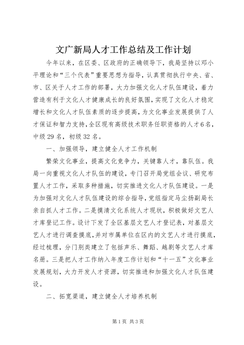 文广新局人才工作总结及工作计划.docx