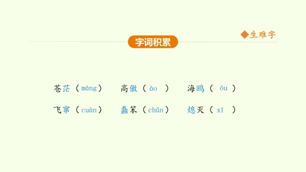 第4课 海燕 课件(共31张PPT)-【课堂无忧】新课标同步核心素养课堂