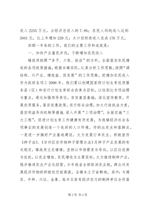 乡镇政府工作总结报告.docx