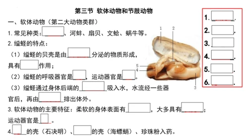 人教版生物八年级上册期末考试知识点汇总（课件）(共28张PPT)