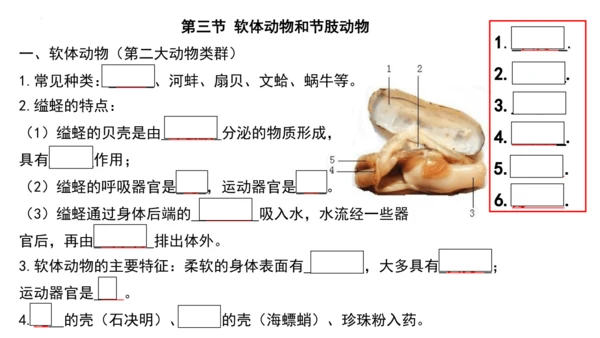 人教版生物八年级上册期末考试知识点汇总（课件）(共28张PPT)