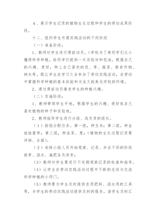 小学劳动教育实践教案.docx