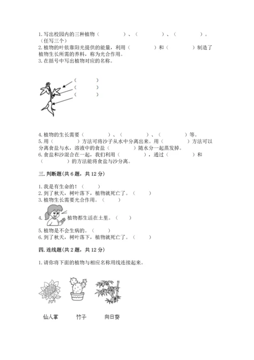 教科版科学一年级上册第一单元《植物》测试卷及答案【网校专用】.docx
