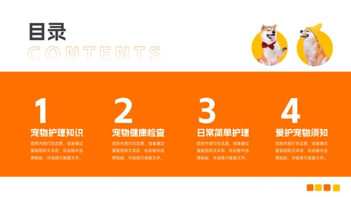 橙黄简洁宠物健康护理PPT模板