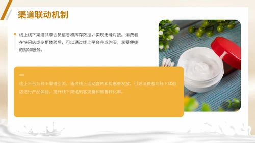 彩妆化妆品护肤品新产品上市推广方案通用PPT