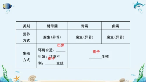 人教版八年级生物上册5.4《细菌和真菌》复习课件（含31张ppt）