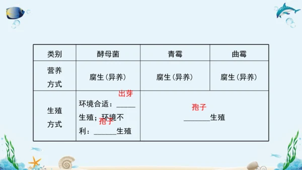 人教版八年级生物上册5.4《细菌和真菌》复习课件（含31张ppt）