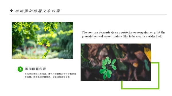 唯美绿色植物发芽植物生长敬畏生命PPT模板