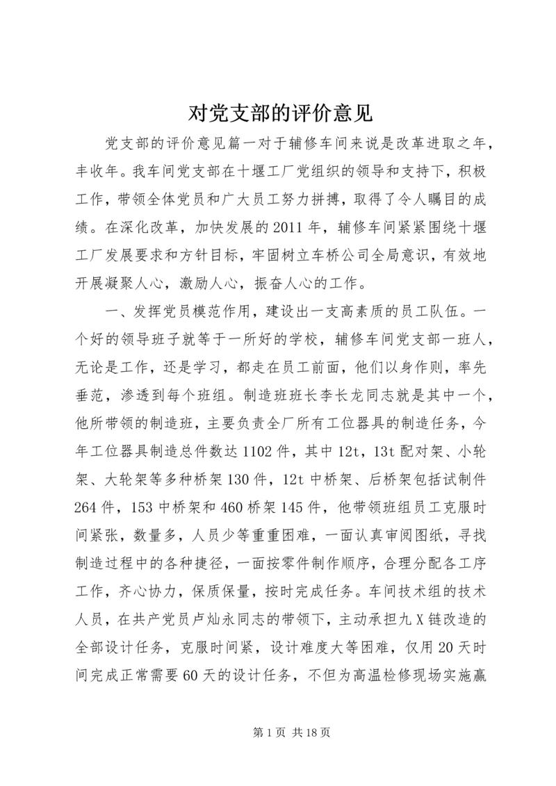 对党支部的评价意见.docx