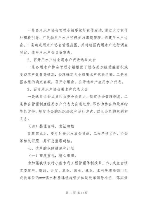 乡镇水利基础设施管护体制改革实施方案.docx