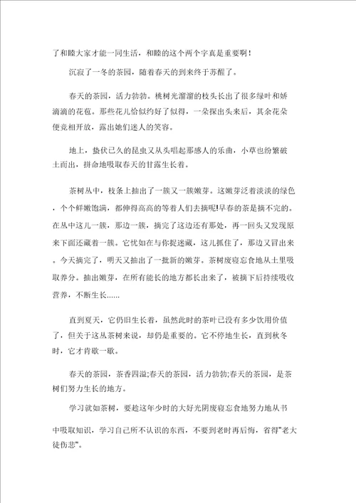 描写春天的作文300字汇总八篇范文精选