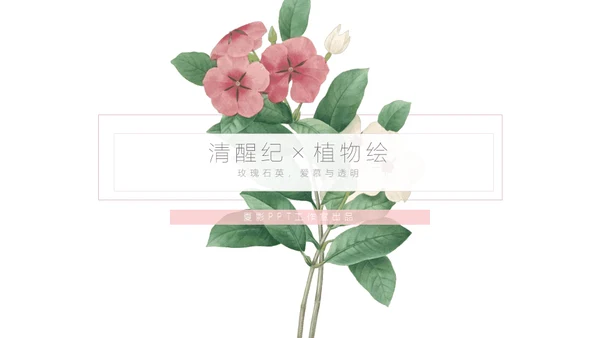 清醒纪植物绘小清新文艺女青年通用PPT模板