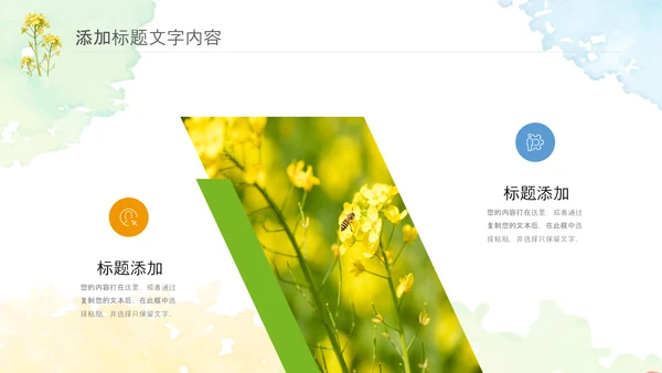春天乡村旅游油菜花风景油菜花田PPT模板