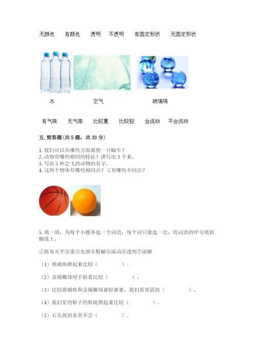 教科版一年级下册科学期末测试卷及1套参考答案.docx