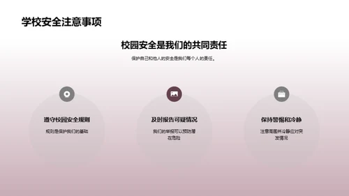 守护校园 安全先行