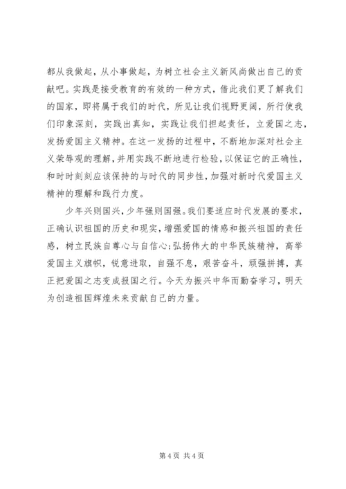 爱国主义学习调研活动心得.docx