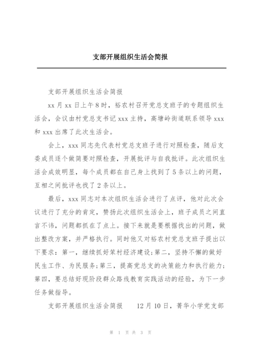 支部开展组织生活会简报.docx