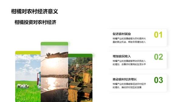 柑橘行业：挖掘投资新机遇