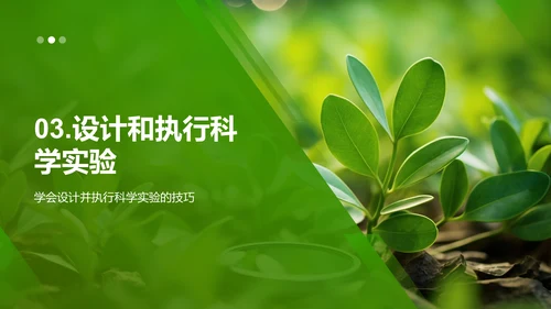 科学观察：植物生长之旅