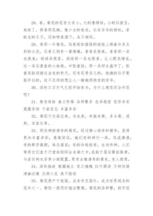 描写菊花的好词好句摘抄.docx