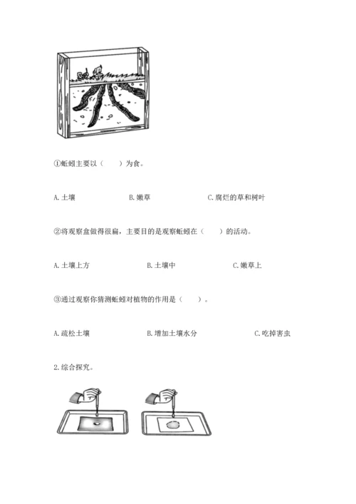 教科版二年级上册科学期末测试卷及答案解析.docx