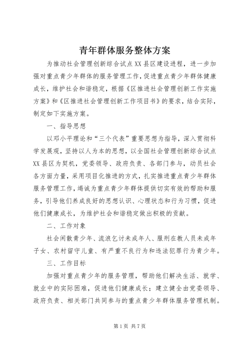 青年群体服务整体方案.docx