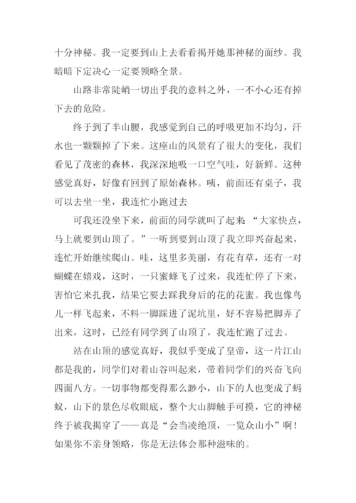 小学生爬山作文.docx