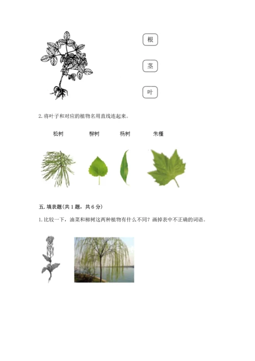 教科版科学一年级上册第一单元《植物》测试卷附答案ab卷.docx