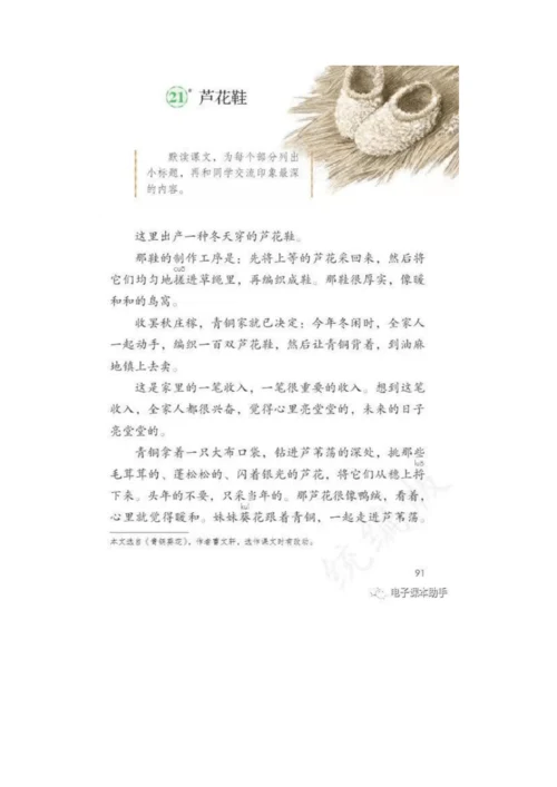 21《芦花鞋》 教案