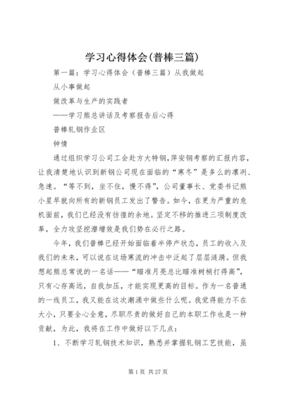 学习心得体会(普棒三篇).docx