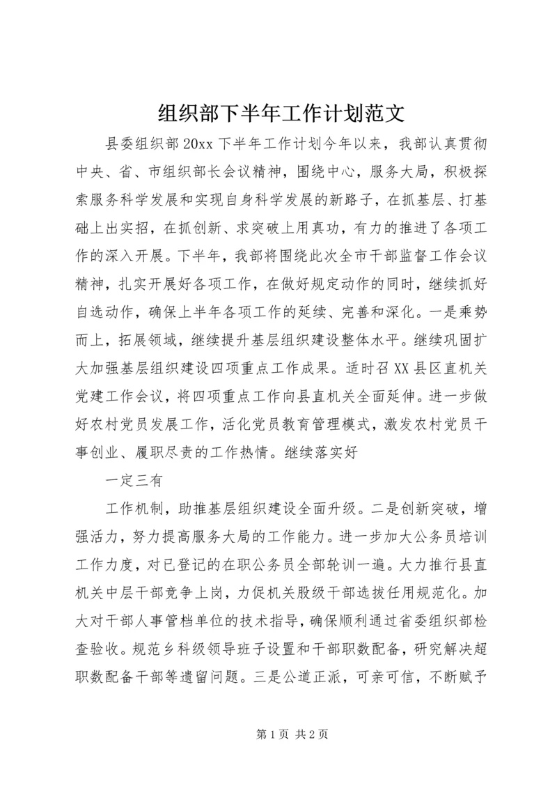 组织部下半年工作计划范文.docx