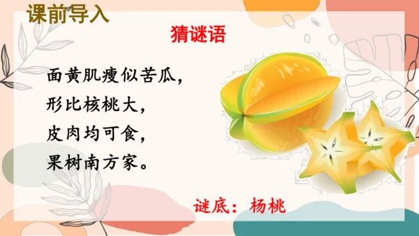 13、画杨桃（第一课时）  课件