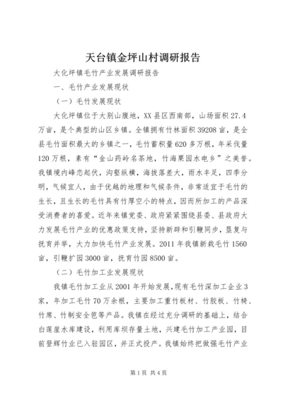 天台镇金坪山村调研报告 (4).docx