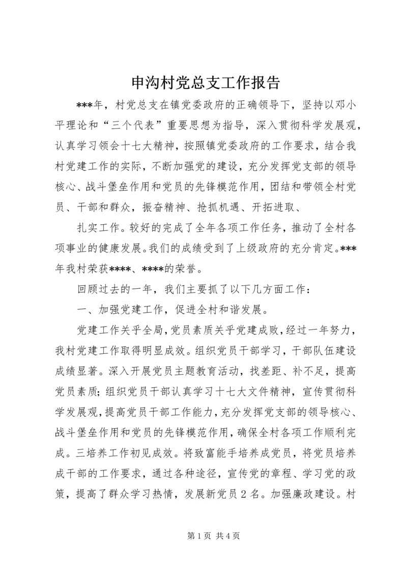 申沟村党总支工作报告 (3).docx