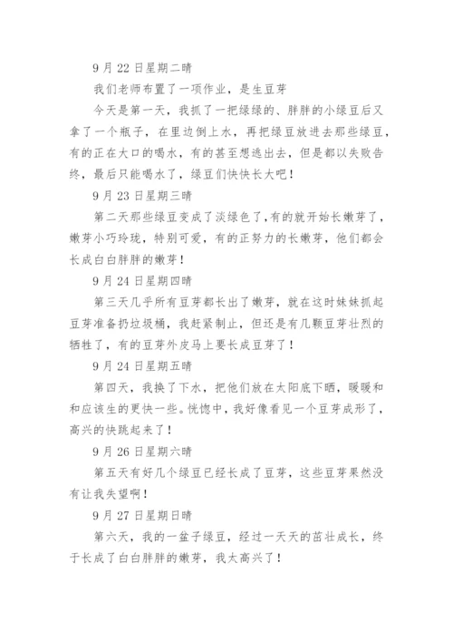 观察绿豆芽的生长日记400字.docx