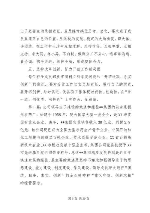 公司领导班子建设的做法和经验 (6).docx