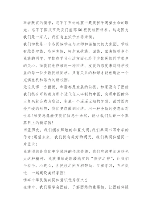 铸牢中华民族共同体意识优秀征文10篇.docx