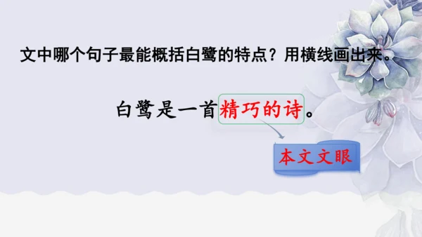 《1 白鹭》课件