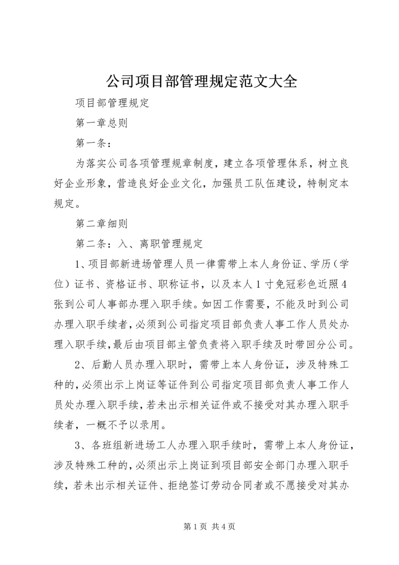 公司项目部管理规定范文大全 (2).docx