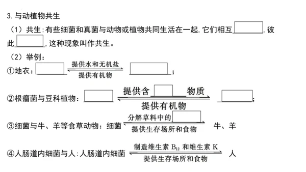 人教版生物八年级上册期末考试知识点汇总（课件）(共28张PPT)