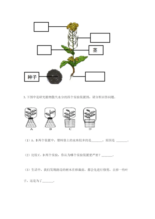 科学四年级下册第一单元《植物的生长变化》测试卷精品【黄金题型】.docx