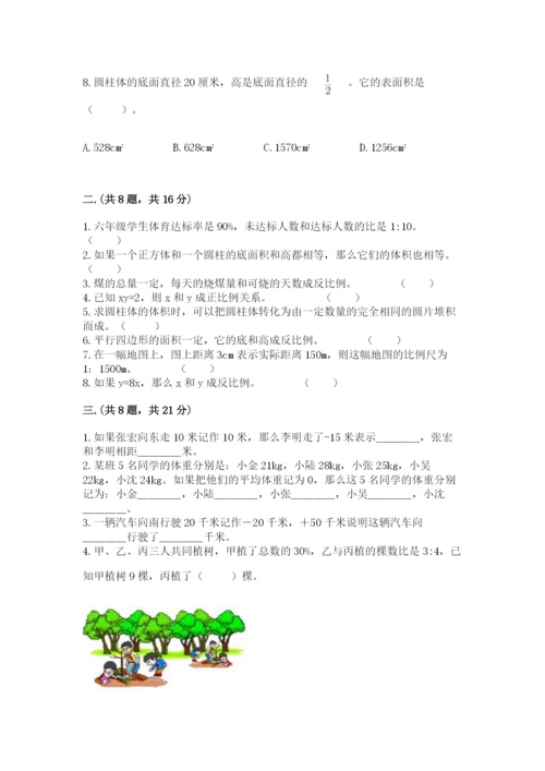 苏教版六年级数学小升初试卷精品【考点梳理】.docx