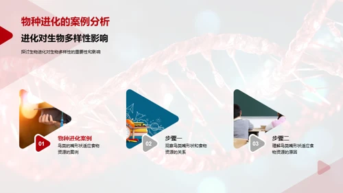 探索生物演化秘密